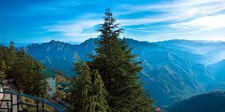 fall in love with each other all over again. at Amshorba valley -Romantic trip to shimla manali by Roaming routes