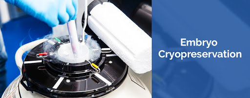 Cryopreservation of Embryo at Aastha Fertility Care