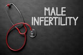 male infertility meaning