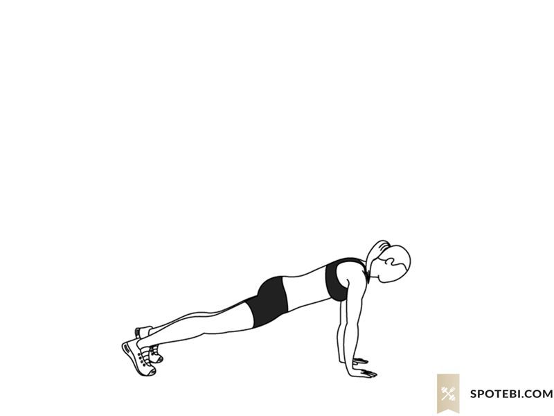 Burpee is a full-body strength training exercise and the ultimate model of functional fitness.