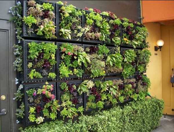 Accent garden wall for garden decoration