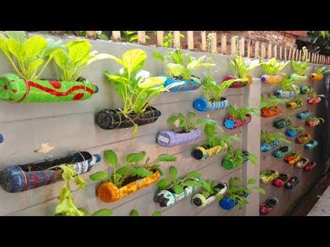 Reuse of plastic bottle for garden decoration