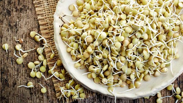 Sprouts is filled with nutrients also helps to reducing belly fat.