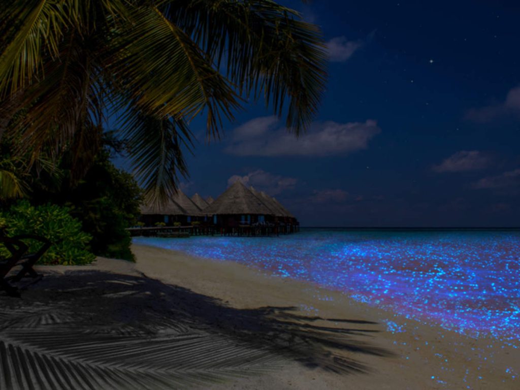 maldives packages for honeymoon Why book with us-