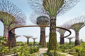 Singapore gardens by the bay morning view