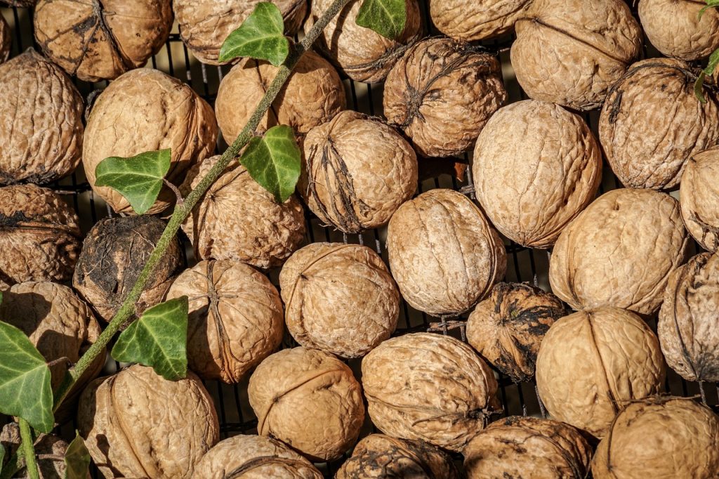 walnut benefits for men