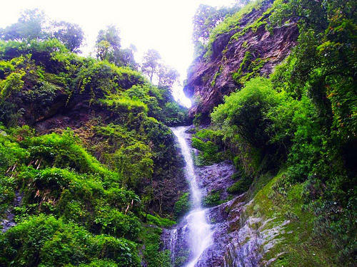 Chadwick falls in Shimla