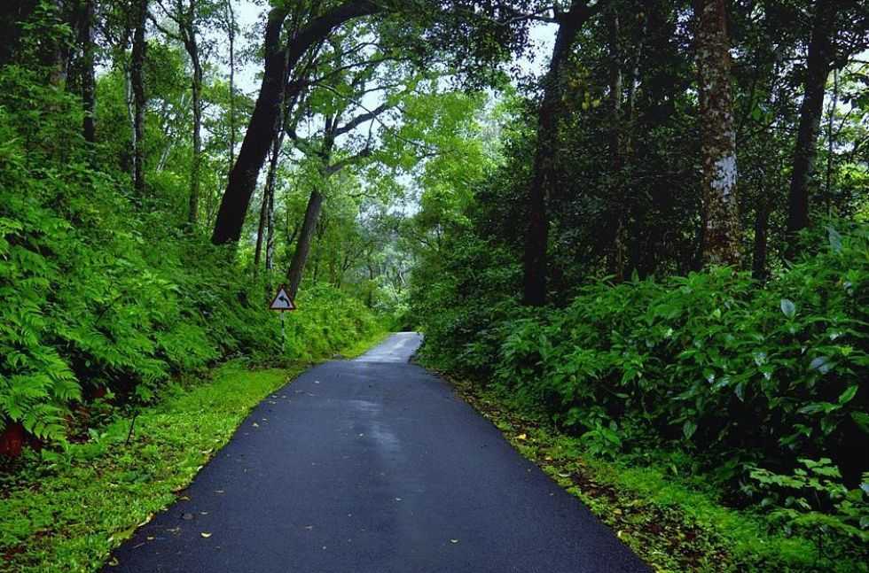 Coorg is the natural phenomena of karnatka and one of the prominent south Indian tourist destination