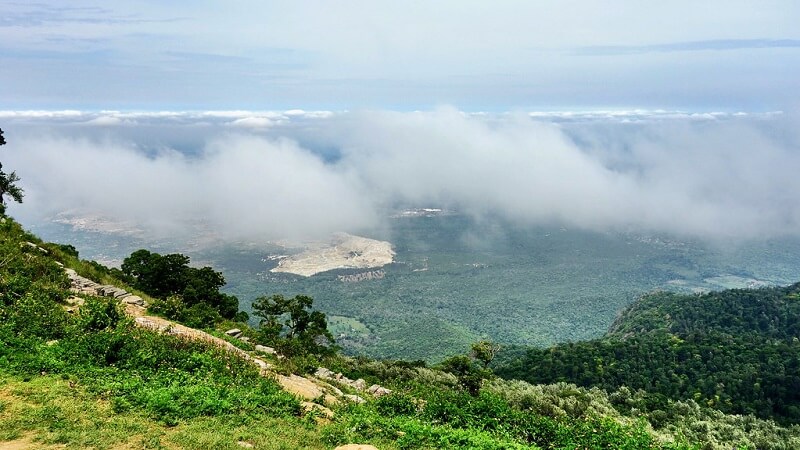 Yercaud hill station has variety of biodiversity and best destination to explore in south India Tamil Nadu