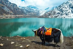 Gangtok, Sikkim