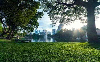 Bangkok Lumphini Park