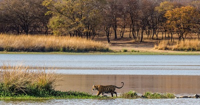 Sawai Madhopur 