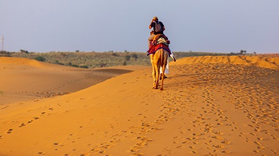 Camel safari in rajasthan