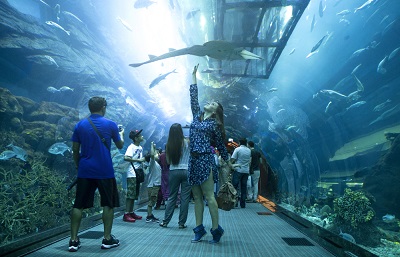 Dubai Aquarium Underwater zoo