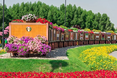 Floral train in Dubai Miracle Garden