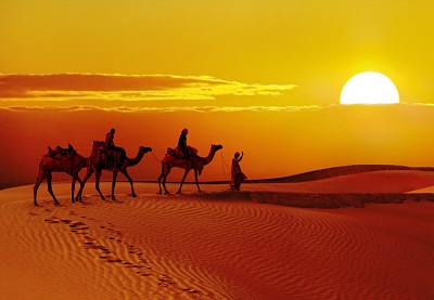 Sunset in the desert of rajasthan