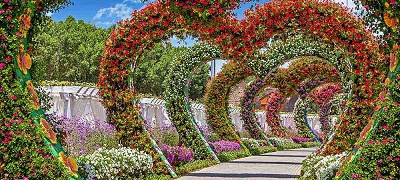 Miracle Garden | Best place to visit in dubai on honeymoon tour