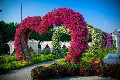 Dubai miracle garden