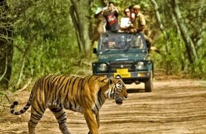 Sajjangarh Wildlife Sanctuary 