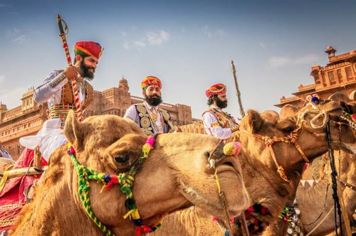Camel Festival in Bikaner