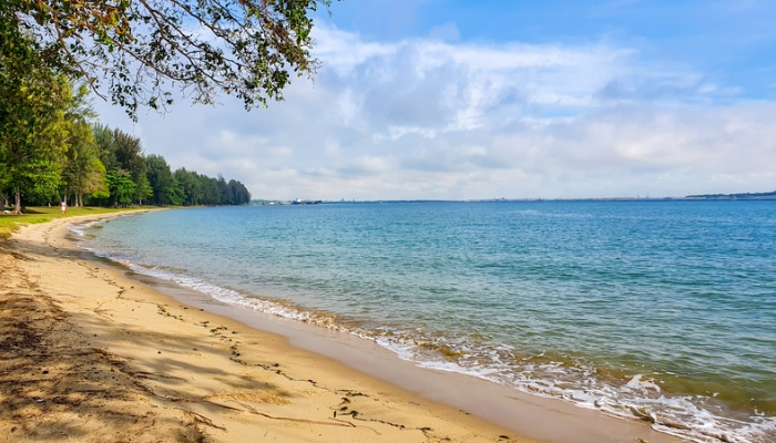 Changi Beach