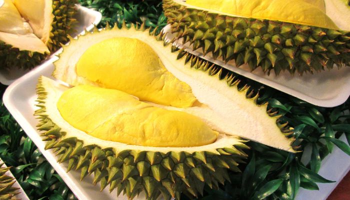 Durian