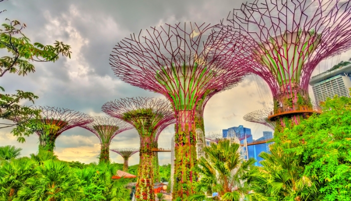 Gardens By The Bay