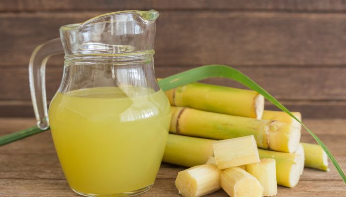 Sugar Cane