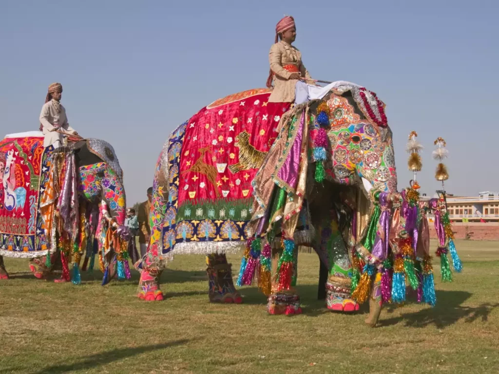 Elephant Festival of Rajasthan